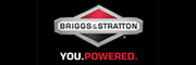 briggsandstratton